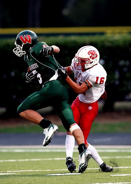 参赛者不仅 参赛者不仅