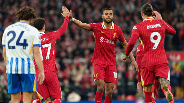 小的战术失 小的战术失