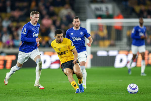 场上的明星 场上的明星