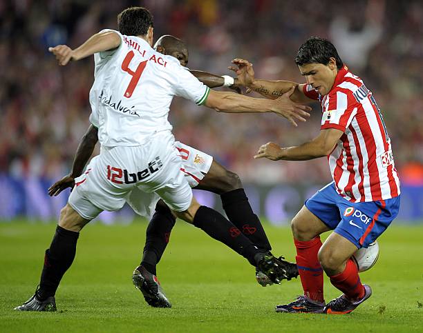 专业系统的 专业系统的