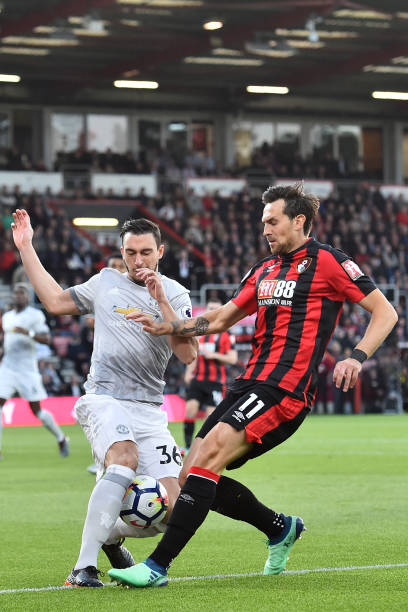 灵互通的象 灵互通的象